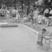 Poolside Waltz