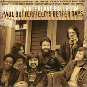 Countryside by Paul Butterfield's Better Days