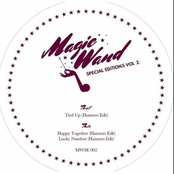 Magic Wand Special Editions Vol 2