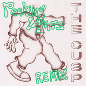 Money (Peaking Lights Flying Faders Dub)