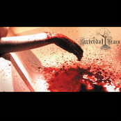 Contemplation of Self​-​Destruction