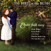 The Bird in the Bush