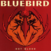 Bluebird: Hot Blood
