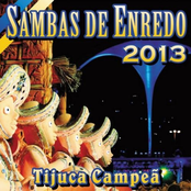 Sambas de Enredo 2013