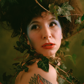 On A Bluebird's Wing