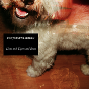 Lions and Tigers and Bears