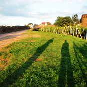 Your Music - My Passion