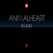 animal heart