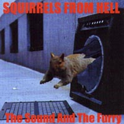 The Sound And The Furry