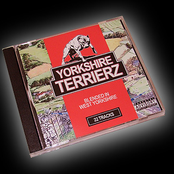 Yorkshire Terrierz