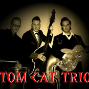 tom cat trio