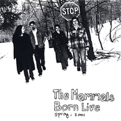 The Mammals: Born Live