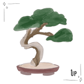Bonsai
