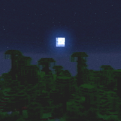 always love this place