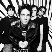 the wallflowers