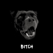 Bitch - EP