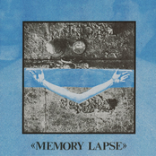Memory Lapse