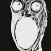 Fear The Unseen, Believe The Unheard