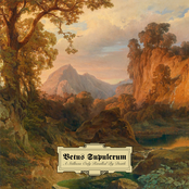 A Stillness Only Rivalled By Death