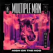 Multiple Man: High On The Hog