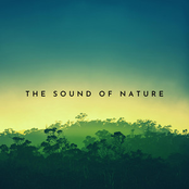 The Sound of Nature