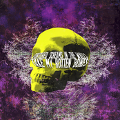 Take My Rotten Bones