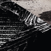 Pulse Of Indignation