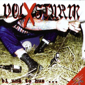 Raff Dich Auf by Volxsturm