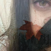 bipolar tears
