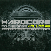 Hardcore To The Bone Volume XIII-CD2