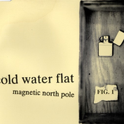Magnetic North Pole