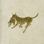 Yaelokre: And the Hound