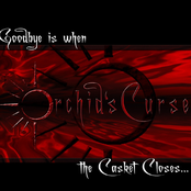 Goodbye Is When the Casket Closes