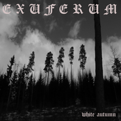 White Autumn