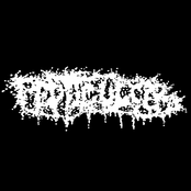 It Ain't Over Muthafuckaz - Single