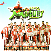 Para Que No Me Olvides