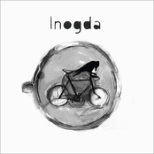 inogda