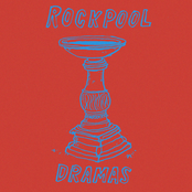 Rockpool Dramas