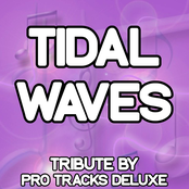 Tidal Waves - A Tribute to Alpines and Sub Focus