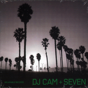Seven