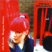 Little Brenda: Bluegrass Mission