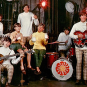 the cowsills