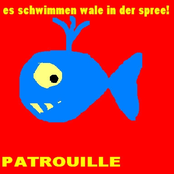 es schwimmen wale in der spree!