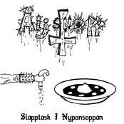 Slapptask I Nyponsoppan