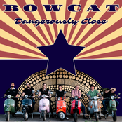 Bowcat: Dangerously Close