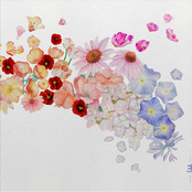 Gretchen Parlato: Flor