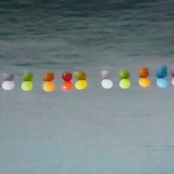 Fondan Gelen Duyumlar