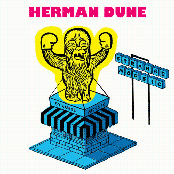 Herman Düne