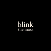 The Moss: Blink