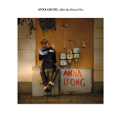 After The Forest Fire